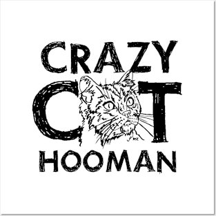 CCH crazy cat hooman Posters and Art